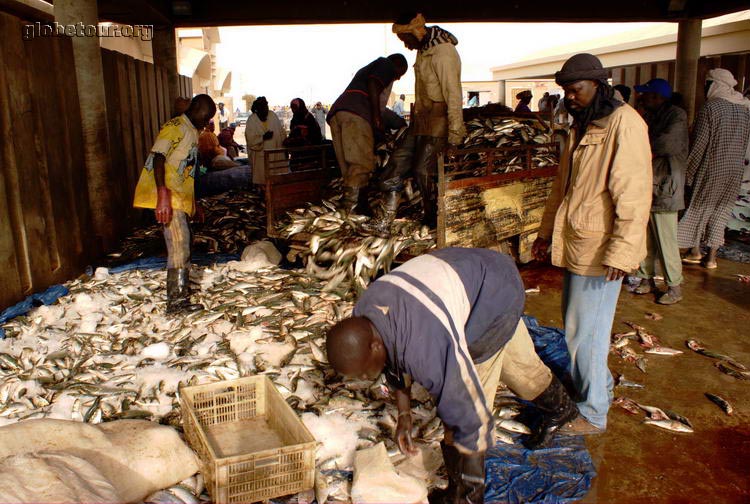 Mauritania, Nouakchott, puerto de la pesca