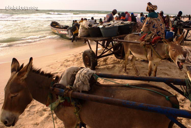 Mauritania, Nouakchott, puerto de la pesca