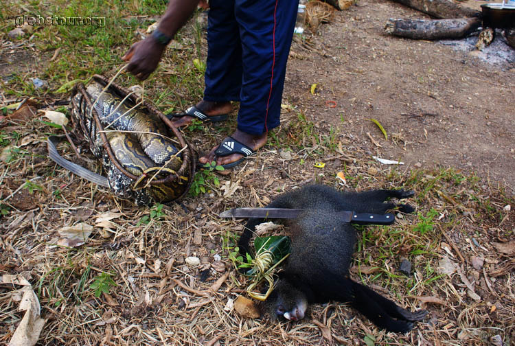 Gabon, camino de Franceville