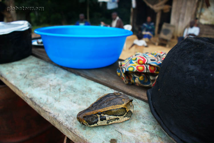 Gabon, camino de Franceville