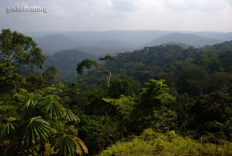 Gabon, camino de Franceville