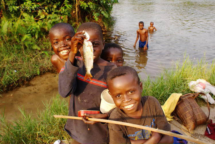 Congo, Leketi