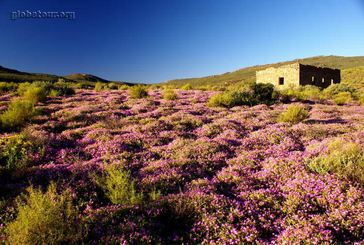 South Africa, near Springbok