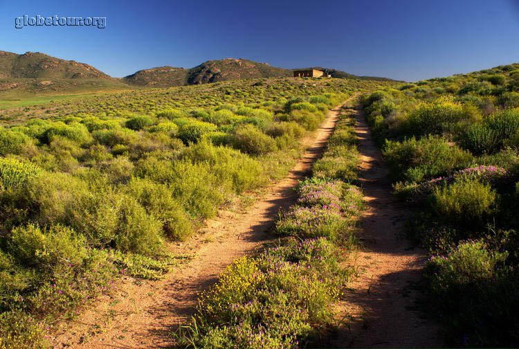 South Africa, near Springbok