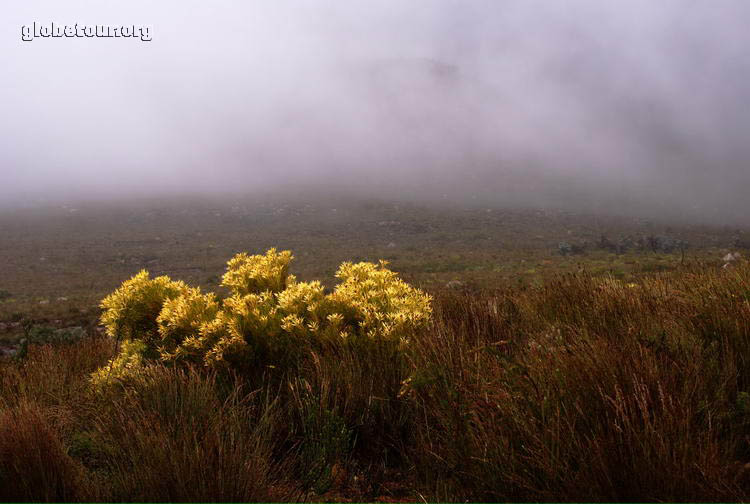 South Africa, Cederberg Mountains