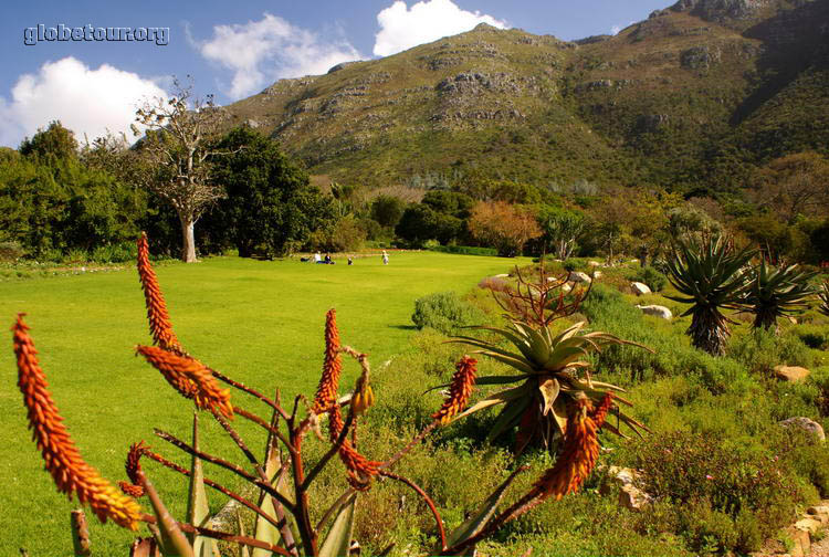 South Africa, Cape Town, Kirstenbosch Botanical Gardens