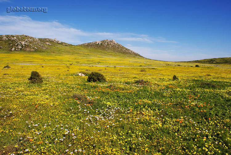 South Africa, West Coast National Park