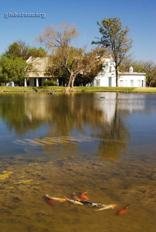 South Africa, farm in Graaff-Reinet