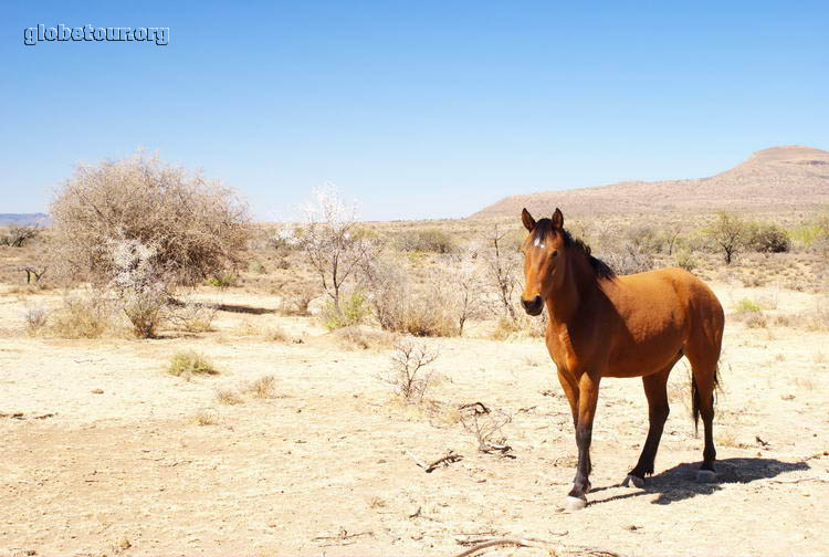 South Africa, farm in Graaff-Reinet