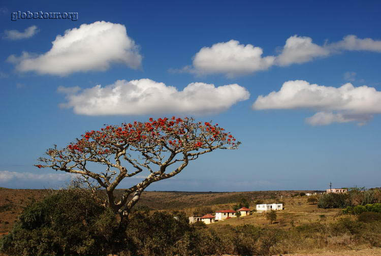 South Africa, near Hamburg beach.