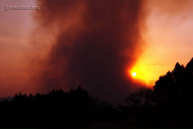 South Africa, woods fire