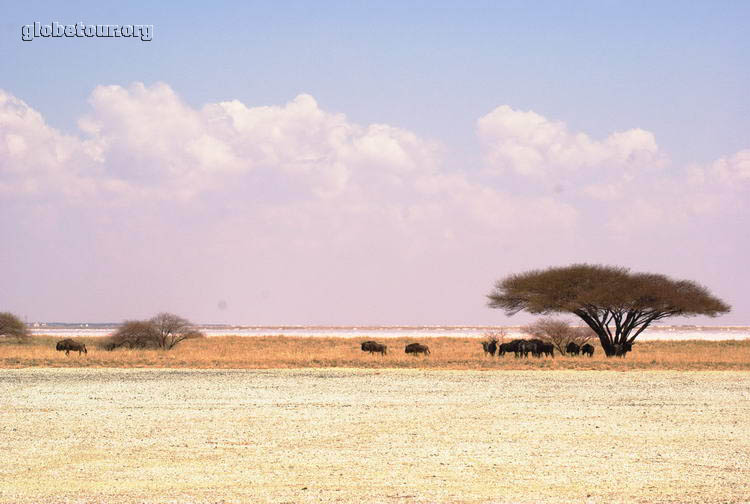 Botswana, Sua Pan