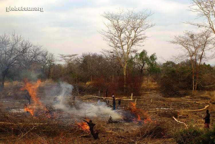 Malawi, from Lilongwe to Cape Maclear, burning forest