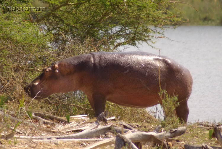 Malawi, Parc Natural de Liwonde