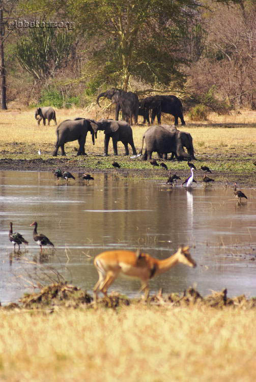 Malawi, Parc Natural de Liwonde