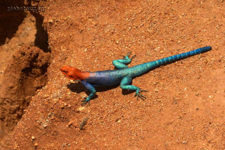 Tanzania, Ismila canyon