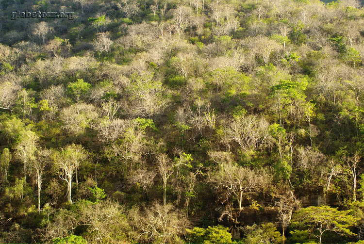 Tanzania, road to Dar Es Salam