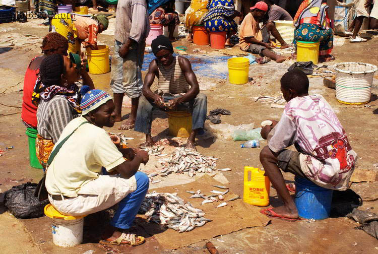 Tanzania, Dar Es Salam, fish market