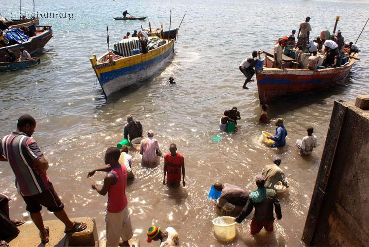 Tanzania, Dar Es Salam, fish market