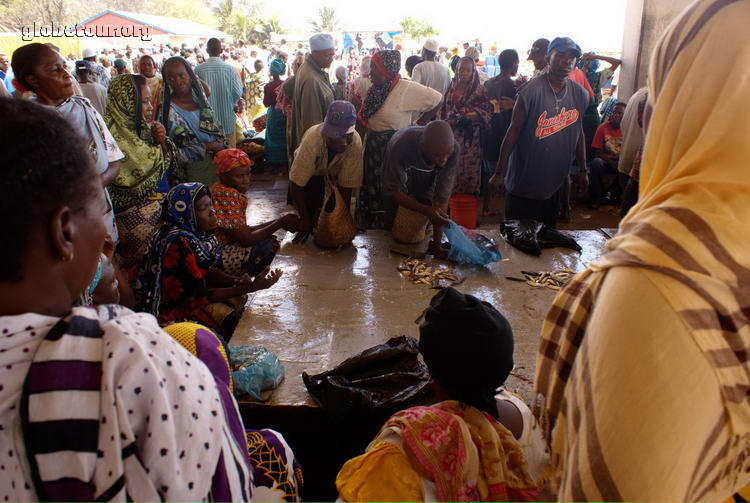 Tanzania, Dar Es Salam, fish market