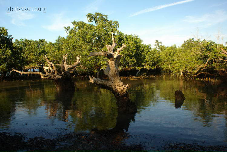 Tanzania, Bagamoyo manglars