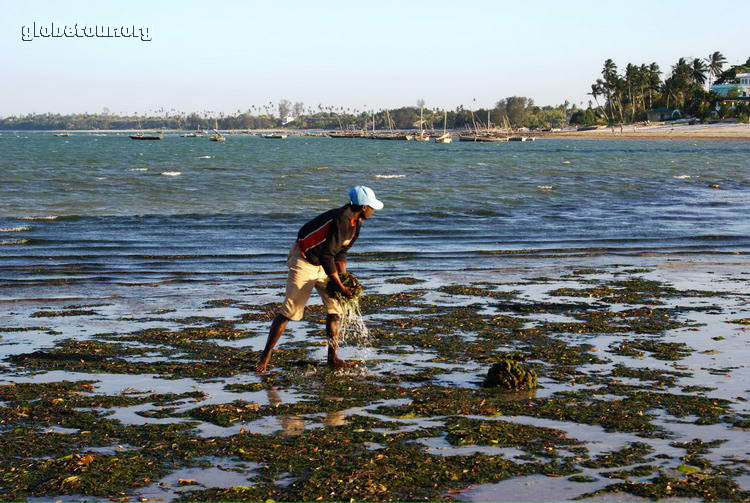 Tanzania, Bagamoyo beach