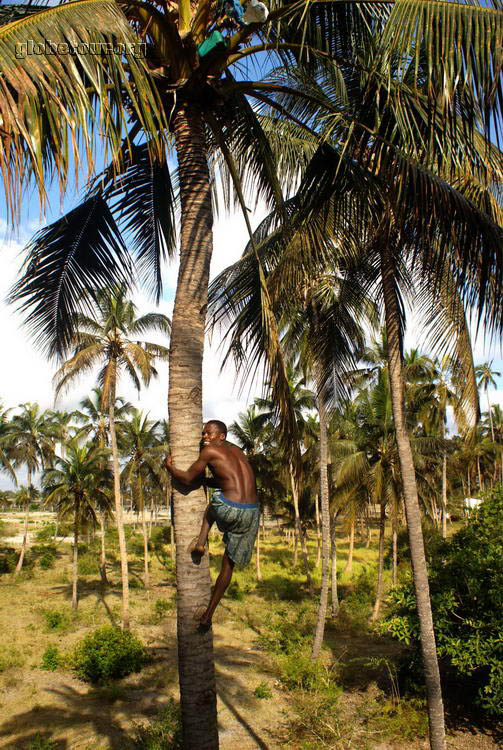 Tanzania, Bagamoyo