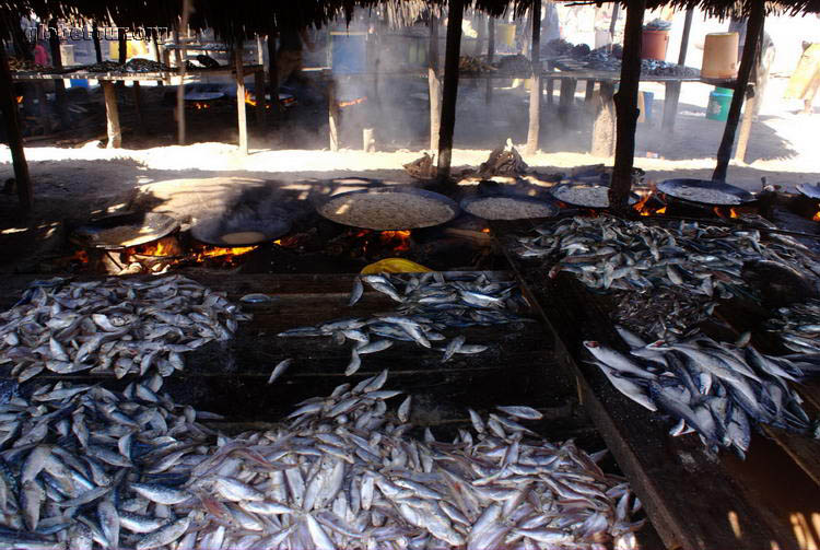 Tanzania, Bagamoyo, frying fish