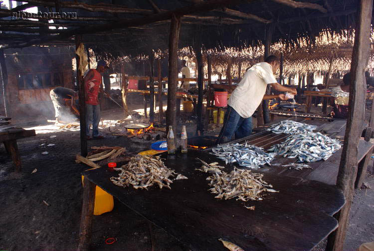 Tanzania, Bagamoyo, frying fish