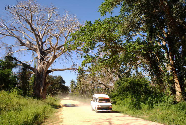 Tanzania, road to Kenya