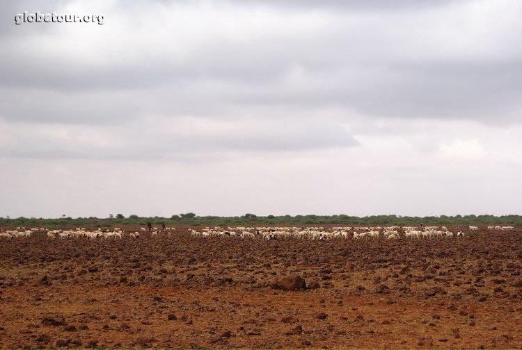 Kenya, Road to Moyale