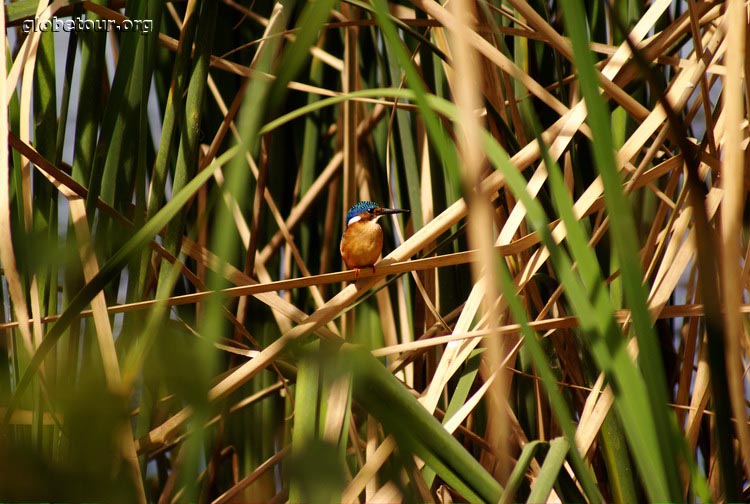 Ethiopia, Debre Zeyit