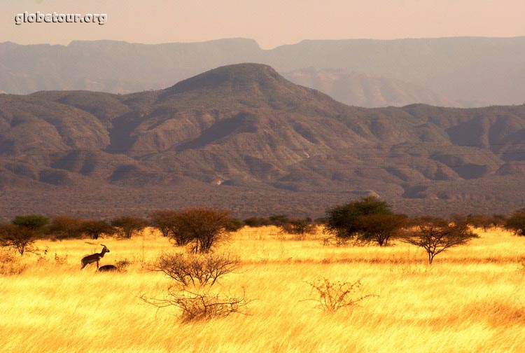 Ethiopia, Awash National Park