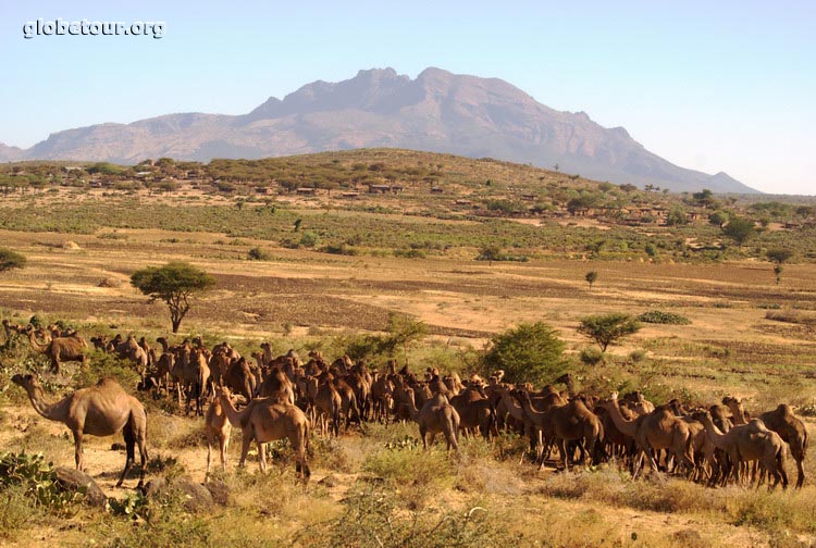 Ethiopia, Chereher mountains