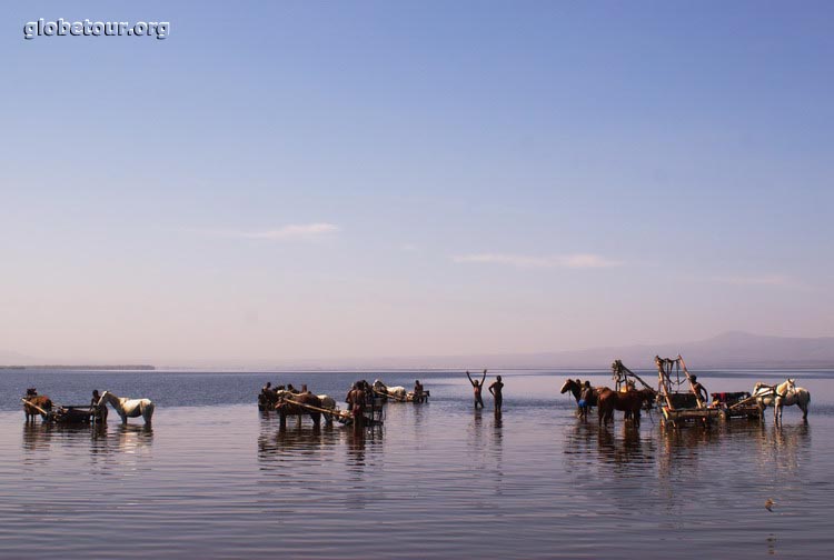 Ethiopia, Lake near Awash National Park