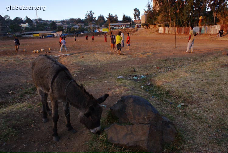 Ethiopia, Addis Abeba, close to hotel of austriacs