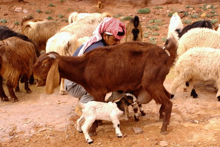 Jordan, Petra, life