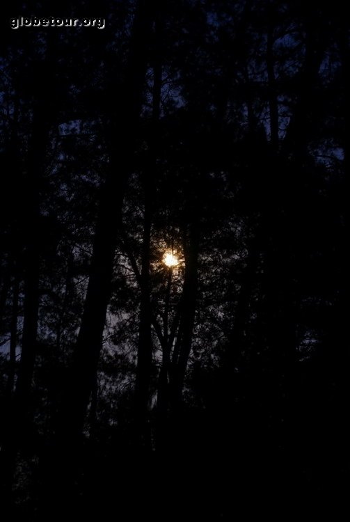 Turkey, Olympos, moon between the trees.