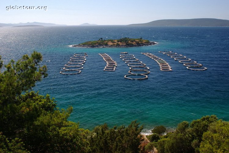 Turkey, view of sea arriving Bodrum