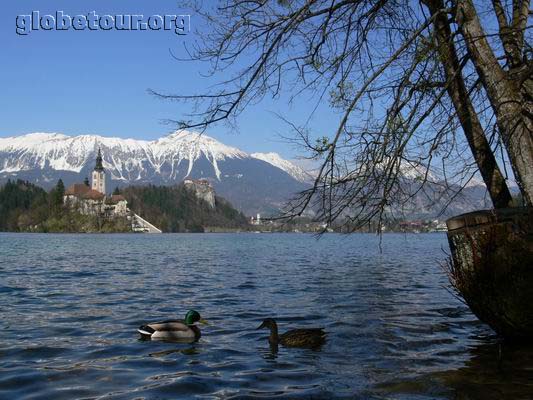 Lake Bled