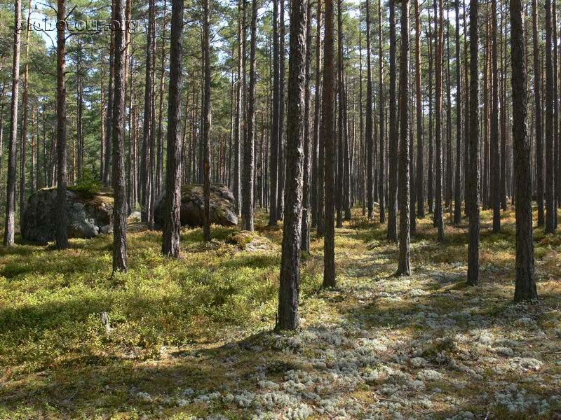 Estonia, Lahemaa National Parc