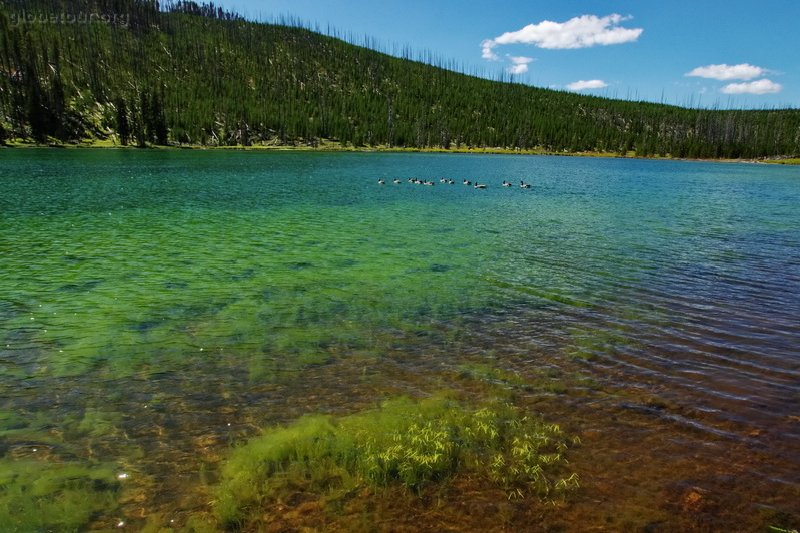 US, Yellowstone National Park, lake