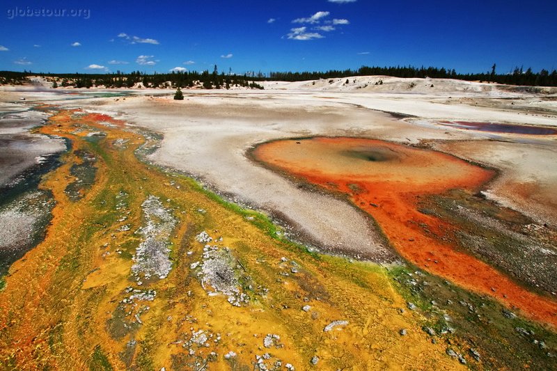 US, Yellowstone National Park, Norris Geyser basin