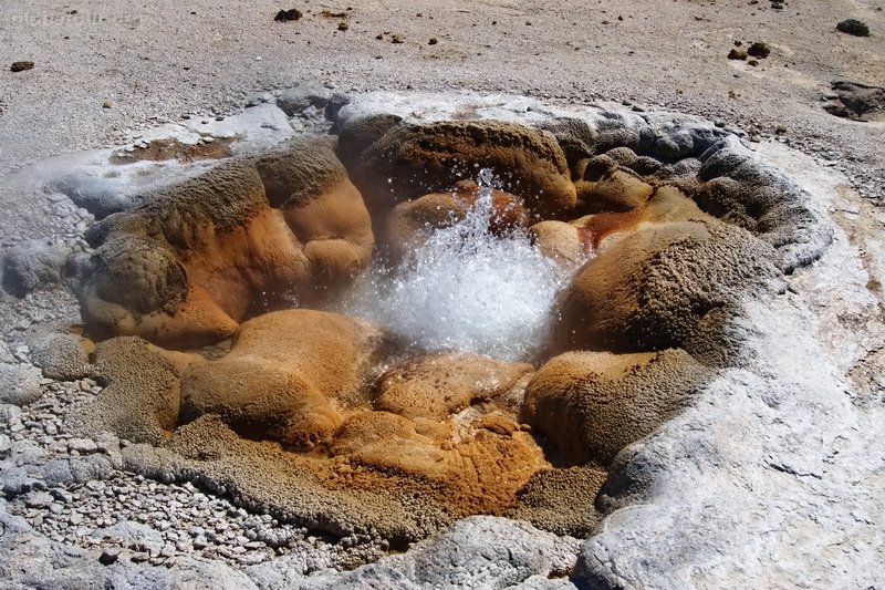 US, Yellowstone National Park, biscuit basin