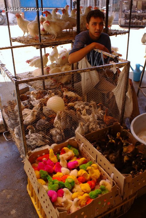 Iran, Esfahan, bazar