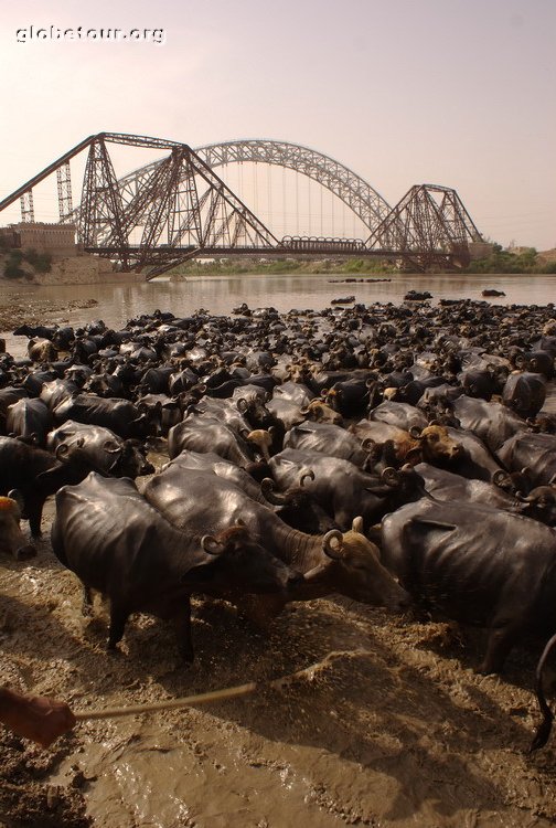 Pakistan, Rohri