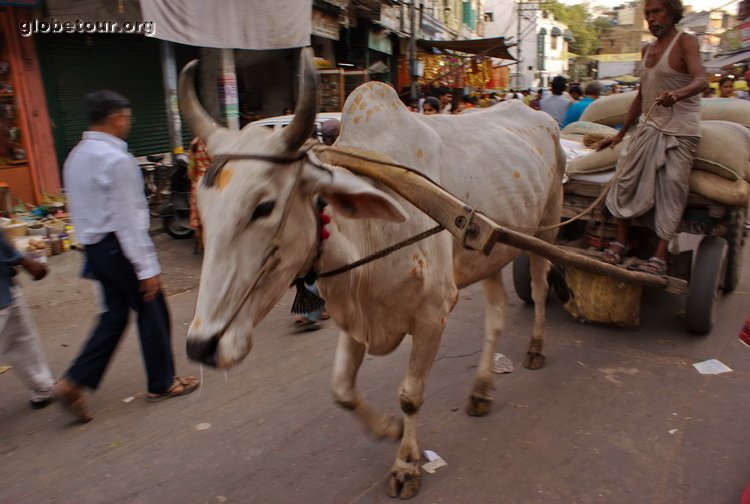 India, Delhi, bazars