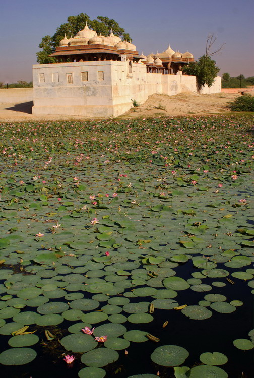 India, Bikaner, Devi Kund