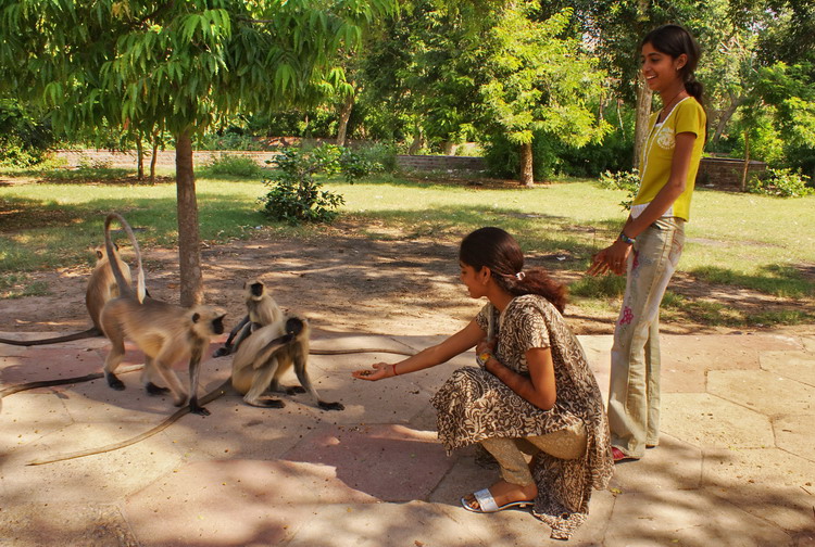 India, Jodhpur, Mandore gardens