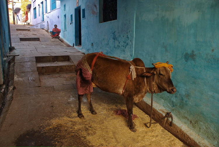 India, Bundi